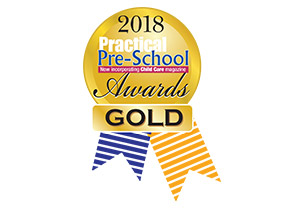 Practical preschool awards gold